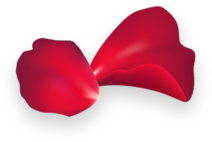 rose-6